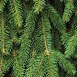 Shutterstock 43027603.jpg (5.76 MB) Cropped Unedited Background
