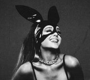 Ariana Grande Dangerous Woman bunny Photoshoot (2)