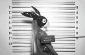 Ariana Grande Tracklist photoshoot (22)