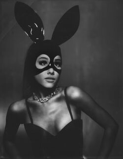 Ariana grande bunny online