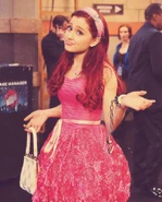 Cat posing in handcuffs.jpg (66 KB)