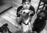 Bri&thedogs