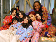 VictoriousCat62.jpg (162 KB)