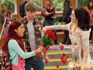 VictoriousCat123.jpg (128 KB)