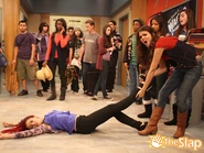 VictoriousCat16.jpg (118 KB)