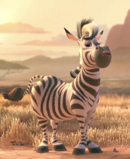 Zebra