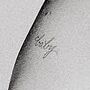 Ariana Baby Tattoo (1).jpg