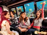 VictoriousCat89.jpg (142 KB)