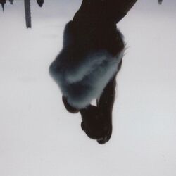 The Light Is Coming Ariana Grande Wiki Fandom
