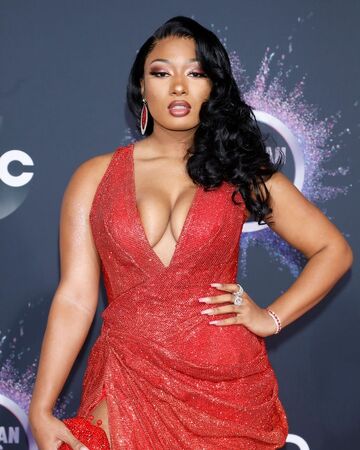 Megan Thee Stallion Ariana Grande Wiki Fandom