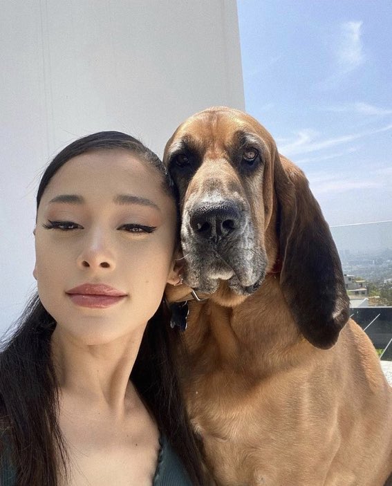 What is the Name of Ariana Grande's Dog?: Unleash the Secret!