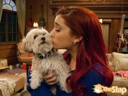 VictoriousCat77.jpg (105 KB)