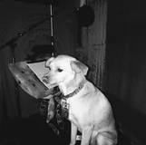 Screen Shot 2017-07-30 at 8.47.32 PM.png (299 KB)