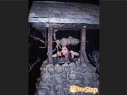 VictoriousCat26.jpg (77 KB)