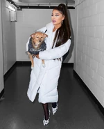 4B8F1353-8092-4C72-8EDC-8A73813AF533.jpeg (341 KB)