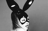 Ariana Grande Dangerous Woman bunny Photoshoot (8)