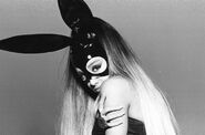 Ariana Grande Dangerous Woman bunny Photoshoot (5)