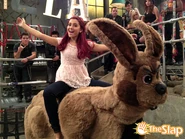 VictoriousCat75.jpg (121 KB)