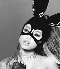 Ariana grande bunny top
