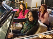 VictoriousCat81.jpg (115 KB)