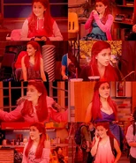 Cat collage.jpg (99 KB)