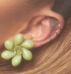 Tattoos Ariana Grande Wiki Fandom
