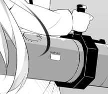 Light Novel