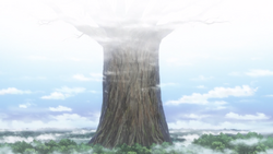 Sea of Trees (Anime)