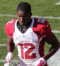 Larry Fitzgerald, Wiki