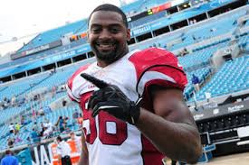 Linebacker Karlos Dansby giving the Miami Dolphins a lot of tackles and a  lot of leadership