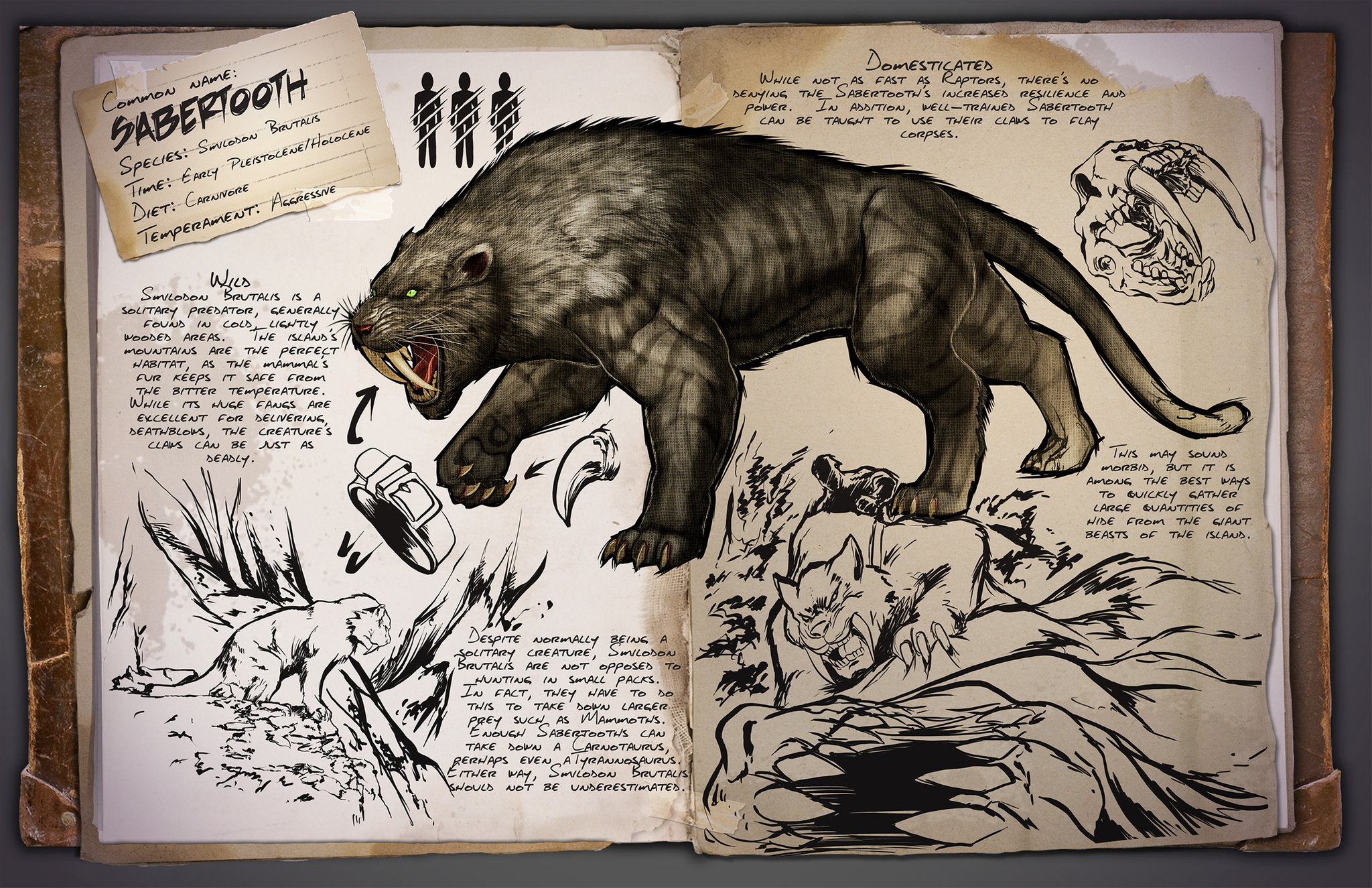 Sabertooth | ARK: Survival Evolved Вики | Fandom