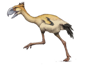 Terror Bird | ARK: Survival Evolved Wiki | Fandom