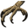 Argentavis Talon