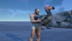 Dodo | ARK: Survival Evolved Wiki | Fandom