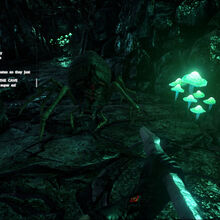 Araneomorphus Ark Survival Evolved Wiki Fandom First, let's review some things you need to know before embarking on an egg hunt on the map: araneomorphus ark survival evolved