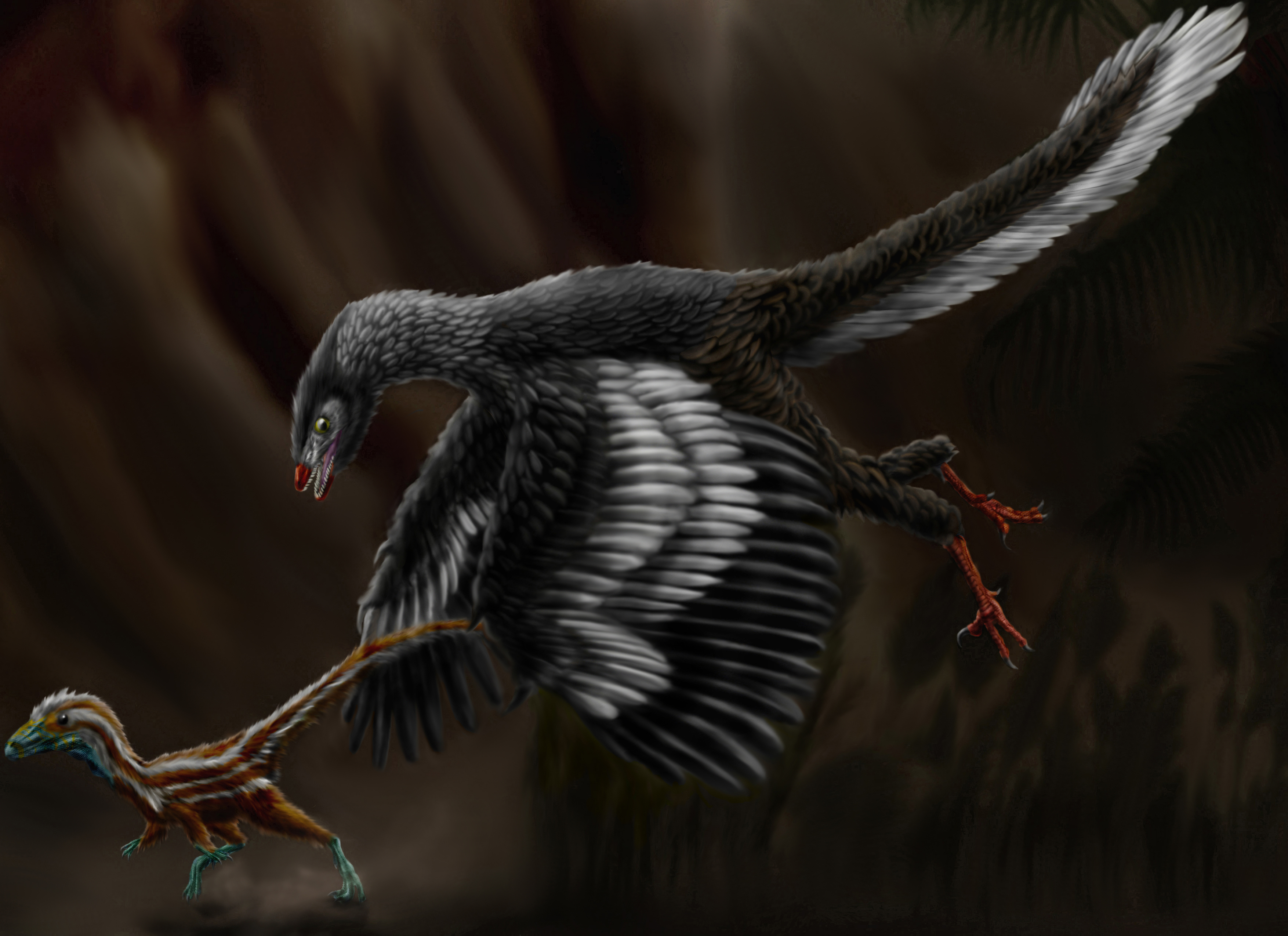 【原画】Archaeopteryx don't know the kimono. Archaeopteryx | Fictional Characters Wiki | Fandom