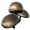 Сытный гриб.png