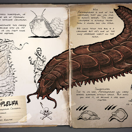 Arthropluera Ark Survival Evolved Wiki Fandom Survival evolved, the araneo eats spoiled meat, raw meat, and raw fish meat. arthropluera ark survival evolved