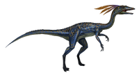 Compsognathus Large