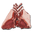 Raw Mutton.png