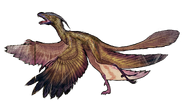 Microraptor Transparent