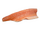 Fresh Fish Fillet (Primitive Plus)