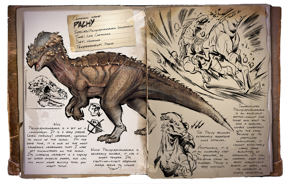 Пахицефалозавр | ARK: Survival Evolved вики | Fandom