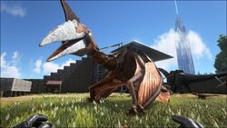 Quetzalcoatlus Ark Survival Evolved Wiki Fandom Quetzalcoatlus Ark Survival Evolved Wiki Fandom