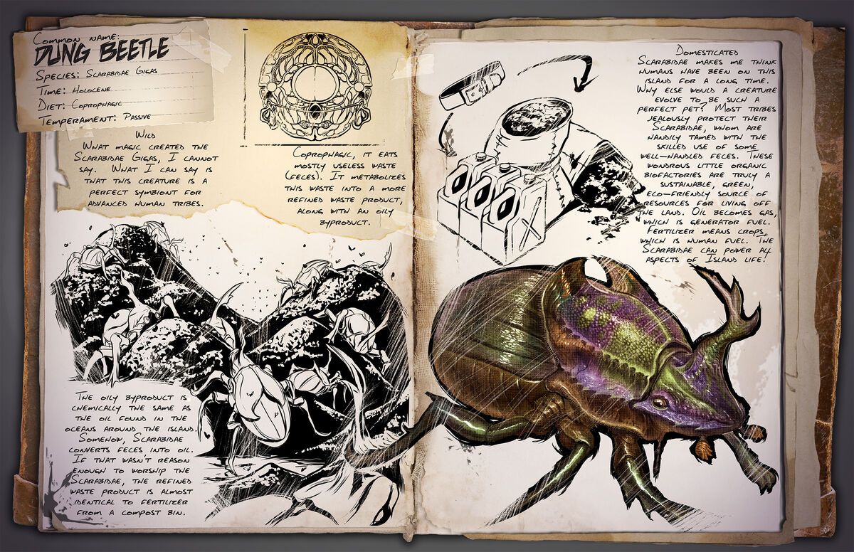 CategoryInsects ARK Survival Evolved Wiki Fandom