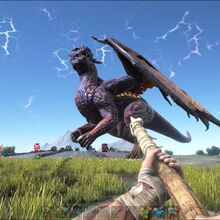 Dragon Ark Survival Evolved Wiki Fandom