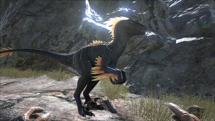 ARK-Raptor Screenshot 004