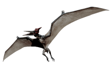 Pteranodon, ARK: Survival Evolved Wiki