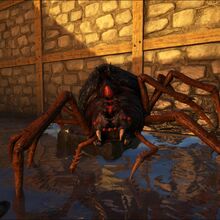 Araneomorphus Ark Survival Evolved Wiki Fandom Download game guide pdf, epub & ibooks. araneomorphus ark survival evolved