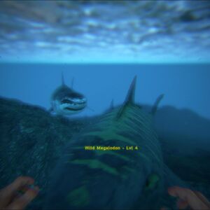 Megalodon Ark Survival Evolved Wiki Fandom